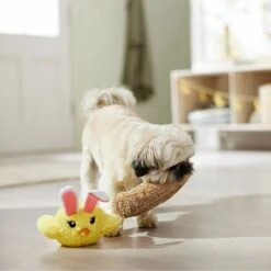 Frisco Easter Chick In Nest 2-in-1 Plush Squeaky Dog Toy 10 Frisco Easter Chick In Nest 2-in-1 Plush Squeaky Dog Toy -The Pet Haven Shop 304962 PT4. AC SS1800 V1702500565