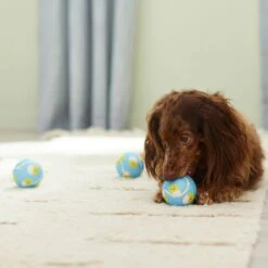 Frisco Easter Fetch Squeaky Tennis Ball Dog Toy, Medium, 3 Count -The Pet Haven Shop 304964 PT4. AC SS1800 V1703184745