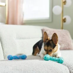 Frisco Easter TPR Bone Squeaky Dog Toy, Medium/Large, 2 Count -The Pet Haven Shop 304966 PT4. AC SS1800 V1670608502