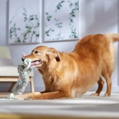 Frisco Easter Bunny Plush With Rope Squeaky Dog Toy -The Pet Haven Shop 304974 PT4. AC SS1800 V1702500566