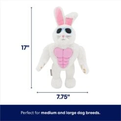 Frisco Easter Bunny Muscle Plush Squeaky Dog Toy 8 Frisco Easter Bunny Muscle Plush Squeaky Dog Toy -The Pet Haven Shop 304976 PT1. AC SS1800 V1672780527
