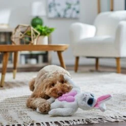 Frisco Easter Bunny Muscle Plush Squeaky Dog Toy 10 Frisco Easter Bunny Muscle Plush Squeaky Dog Toy -The Pet Haven Shop 304976 PT4. AC SS1800 V1702500565