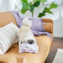 Frisco Easter Message Bubble Plush Squeaky Dog Toy 9 Frisco Easter Message Bubble Plush Squeaky Dog Toy -The Pet Haven Shop 304980 PT3. AC SS1800 V1642441439