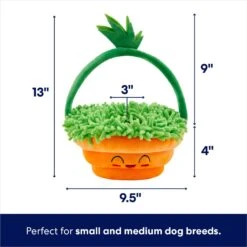 Frisco Easter Basket Hide & Seek Puzzle Plush Squeaky Dog Toy -The Pet Haven Shop 304982 PT1. AC SS1800 V1702665736