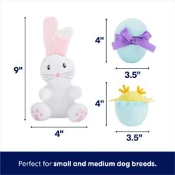 Frisco Easter Basket Hide & Seek Puzzle Plush Squeaky Dog Toy -The Pet Haven Shop 304982 PT2. AC SS1800 V1702665735
