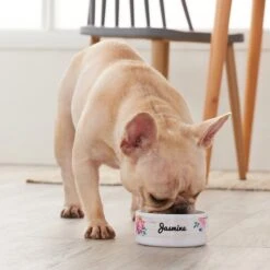 Frisco Personalized Rustic Ceramic Dog & Cat Bowl -The Pet Haven Shop 306763 PT4. AC SS1800 V1639518086