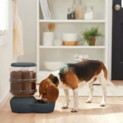 Frisco Wide Mouth Gravity Feeder 7 Frisco Wide Mouth Gravity Feeder -The Pet Haven Shop 308943 PT4. AC SS1800 V1634318507