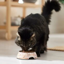 Frisco Copper Print Design Stainless Steel Dog & Cat Bowl -The Pet Haven Shop 311975 PT3. AC SS1800 V1642542357