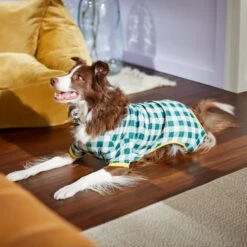 Frisco Boho Gingham Dog & Cat PJs -The Pet Haven Shop 312272 PT8. AC SS1800 V1644880063