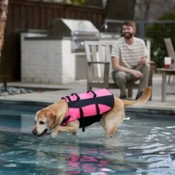 Frisco Ripstop Dog Life Jacket, Pink 19 Frisco Ripstop Dog Life Jacket, Pink -The Pet Haven Shop 312380 PT8. AC SS1800 V1649275938