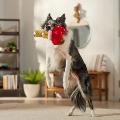 Frisco Valentine Ice Cream Plush Squeaky Dog Toy 8 Frisco Valentine Ice Cream Plush Squeaky Dog Toy -The Pet Haven Shop 312895 PT3. AC SS1800 V1701364917