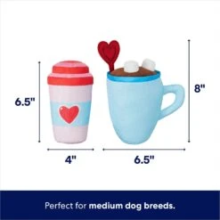 Frisco Valentine Coffee For Two Ballistic Nylon Plush Squeaky Dog Toy -The Pet Haven Shop 312897 PT1. AC SS1800 V1701364918
