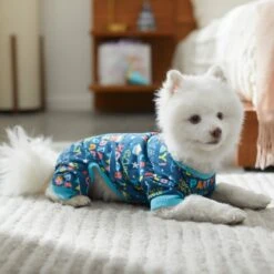 Frisco Celebration Dog & Cat PJs -The Pet Haven Shop 315105 PT8. AC SS1800 V1646437758