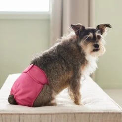 Frisco Washable Female Diaper -The Pet Haven Shop 315702 PT3. AC SS1800 V1644885450