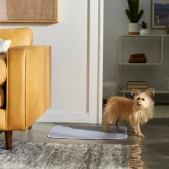 Frisco Washable Dog Potty Pads -The Pet Haven Shop 315712 PT3. AC SS1800 V1644880410