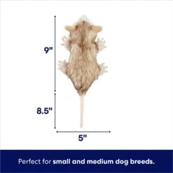 Frisco Realistic Opossum Plush Squeaky Dog Toy -The Pet Haven Shop 316929 PT1. AC SS1800 V1695761017