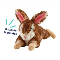 Frisco Realistic Rabbit Plush Squeaky Dog Toy -The Pet Haven Shop 316939 PT2. AC SS1800 V1695760987