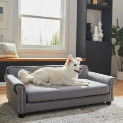 Frisco Sofa Pet Bed With Removable Cover & Frisco Eyelash Cat & Dog Blanket -The Pet Haven Shop 319504 PT4. AC SS1800 V1630625195