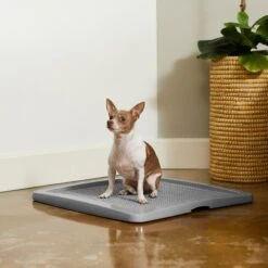 Frisco Training Pad Holder & Frisco Premium Dog Training & Potty Pads -The Pet Haven Shop 319526 PT4. AC SS1800 V1630624305