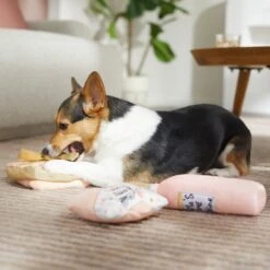 Frisco Mother's Day Gifts Plush Squeaky Dog Toy, 3 Count 7 Frisco Mother's Day Gifts Plush Squeaky Dog Toy, 3 Count -The Pet Haven Shop 327035 PT3. AC SS1800 V1646947993