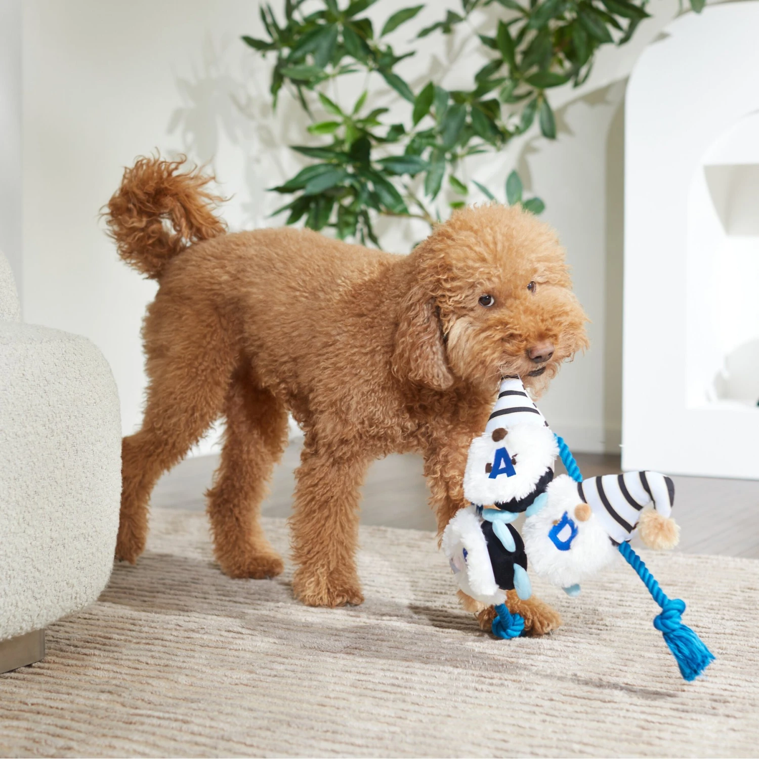 Frisco Dad Gnome Plush With Rope Dog Toy 5 Frisco Dad Gnome Plush With Rope Dog Toy - Image 3