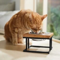Frisco Premium Wood Elevated Single Dog & Cat Bowl -The Pet Haven Shop 331493 PT3. AC SS1800 V1657656892