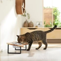 Frisco Premium Wood Elevated Bone Shape Stainless Steel Double Diner Dog & Cat Bowl, 3 Cup -The Pet Haven Shop 331497 PT3. AC SS1800 V1657656892