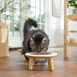 Frisco Premium Round Shape Elevated Single Dog & Cat Bowl -The Pet Haven Shop 331502 PT3. AC SS1800 V1657656892