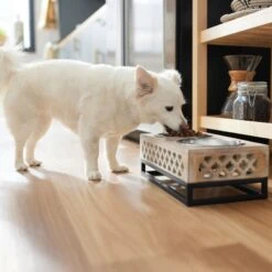 Frisco Premium Wood Elevated Stainless Steel Double Diner Dog & Cat Bowl, 3 Cup 9 Frisco Premium Wood Elevated Stainless Steel Double Diner Dog & Cat Bowl, 3 Cup -The Pet Haven Shop 331507 PT2. AC SS1800 V1657656894