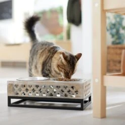 Frisco Premium Wood Elevated Stainless Steel Double Diner Dog & Cat Bowl, 3 Cup 10 Frisco Premium Wood Elevated Stainless Steel Double Diner Dog & Cat Bowl, 3 Cup -The Pet Haven Shop 331507 PT3. AC SS1800 V1657656894