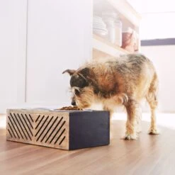 Frisco Premium Wood Elevated Stainless Steel Double Diner Dog & Cat Bowl, Black, 3 Cup -The Pet Haven Shop 331509 PT2. AC SS1800 V1657656894