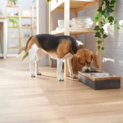 Frisco Premium Stainless Steel Double Diner Dog & Cat Bowl, Black -The Pet Haven Shop 331532 PT2. AC SS1800 V1657656874