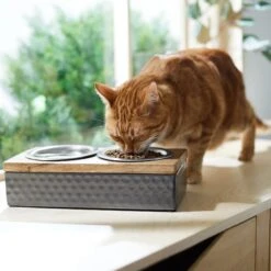 Frisco Premium Stainless Steel Double Diner Dog & Cat Bowl, Black -The Pet Haven Shop 331532 PT3. AC SS1800 V1657656874