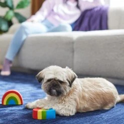 Frisco Pride Rainbow & Heart Latex Squeaky Dog Toy, 2 Count 7 Frisco Pride Rainbow & Heart Latex Squeaky Dog Toy, 2 Count -The Pet Haven Shop 331632 PT3. AC SS1800 V1647355825