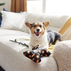 Frisco Pride Proud Pup Bone Plush Squeaky Dog Toy -The Pet Haven Shop 331638 PT3. AC SS1800 V1647355940