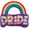 Frisco Pride Rainbow Plush With Rope Squeaky Dog Toy -The Pet Haven Shop 331653 MAIN. AC SS1800 V1649086609