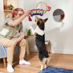 Frisco Pride Plush With Rope Squeaky Dog Toy -The Pet Haven Shop 331661 PT3. AC SS1800 V1647356002