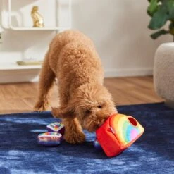 Frisco Pride Rainbow Hide & Seek Puzzle Plush Squeaky Dog Toy -The Pet Haven Shop 331673 PT3. AC SS1800 V1647356070