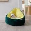 Frisco Avocado Cat & Dog Bed -The Pet Haven Shop 333856 MAIN. AC SS1800 V1658717997