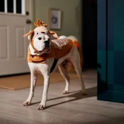 Frisco Deer Dog & Cat Costume 14 Frisco Deer Dog & Cat Costume -The Pet Haven Shop 334874 PT7. AC SS1800 V1657720507