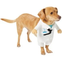 Frisco Front Walking Doctor Dog & Cat Costume 13 Frisco Front Walking Doctor Dog & Cat Costume -The Pet Haven Shop 334900 PT3. AC SS1800 V1658344549