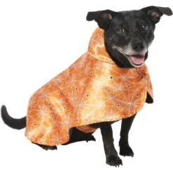 Frisco Spider Webbed Dog & Cat Costume Cape