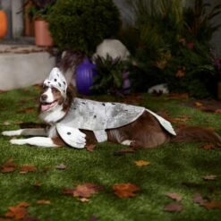 Frisco Seal Dog & Cat Costume -The Pet Haven Shop 334983 PT7. AC SS1800 V1657730462