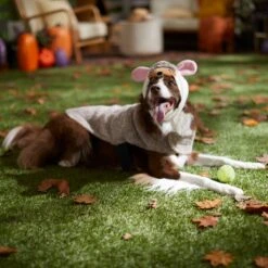 Frisco Hedgehog Dog & Cat Costume -The Pet Haven Shop 334990 PT7. AC SS1800 V1657732628