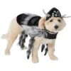 Frisco Spider Dog & Cat Costume -The Pet Haven Shop 335017 MAIN. AC SS1800 V1658718137