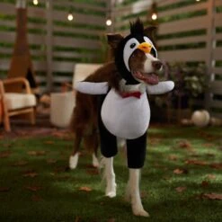 Frisco Front Walking Penguin Dog & Cat Costume -The Pet Haven Shop 335062 PT7. AC SS1800 V1657718971
