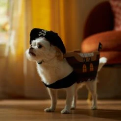 Frisco Pirate Ship Dog & Cat Costume 14 Frisco Pirate Ship Dog & Cat Costume -The Pet Haven Shop 335078 PT7. AC SS1800 V1657656881
