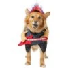 Frisco Front Walking Punk Rocker Dog & Cat Costume 2 Frisco Front Walking Punk Rocker Dog & Cat Costume -The Pet Haven Shop 335087 MAIN. AC SS1800 V1658349621