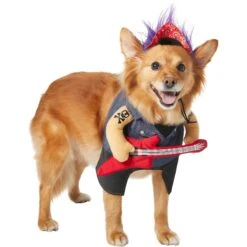 Frisco Front Walking Punk Rocker Dog & Cat Costume -The Pet Haven Shop 335087 PT3. AC SS1800 V1658346323