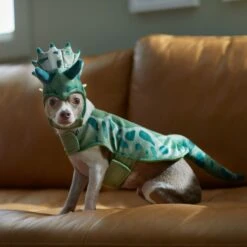 Frisco Triceratops Dog & Cat Costume -The Pet Haven Shop 335093 PT7. AC SS1800 V1657659565